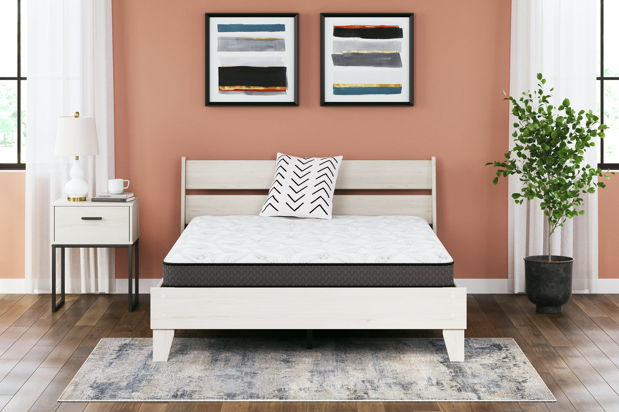 Mega Furniture - Ashley Furniture - 8 Inch Bonnell Hybrid Mattresses - California King / White - M58751
