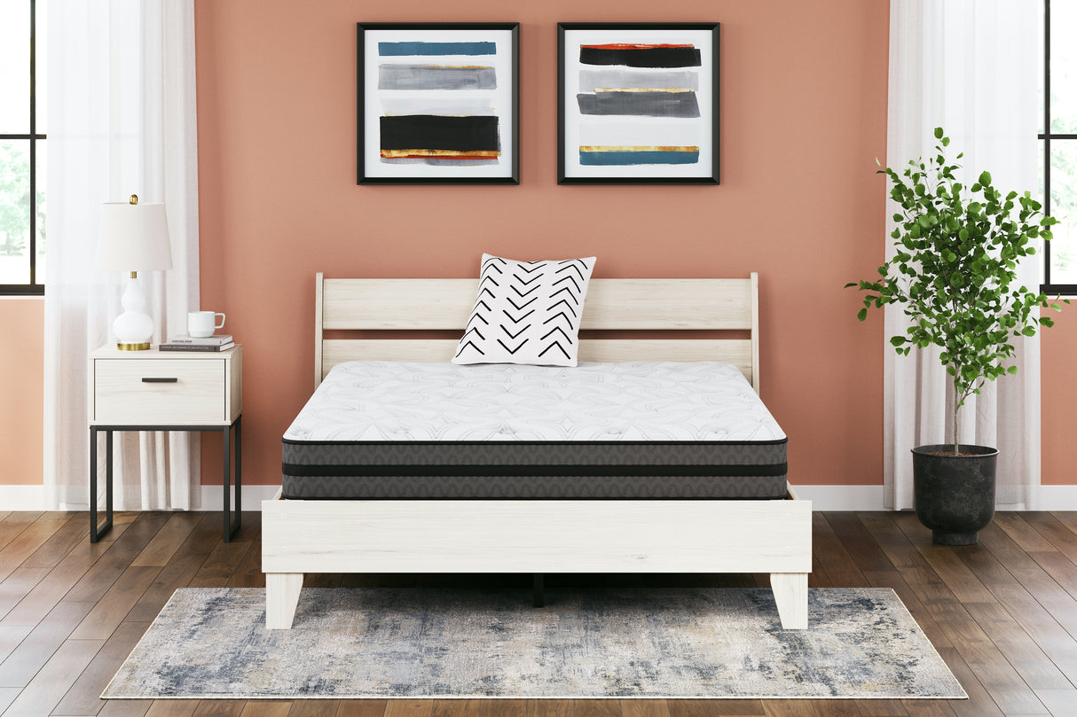 Mega Furniture - Ashley Furniture - 10 Inch Pocketed Hybrid Mattresses - Queen / White - M58931