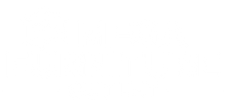Mega Furniture GA logo