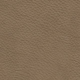 Veronella Living Room