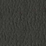 Revived and Restored Living Room