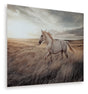 Mega Furniture - Ashley Furniture - Errolville Wall Decor - Wall Art / Multi - A8000489