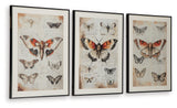 Jossletts Wall Decor