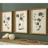 Mega Furniture - Ashley Furniture - Huddwick Wall Decor - Wall Art Set (3/CN) - A8000559