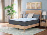Destin Cove Plush Mattresses