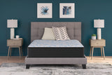 Mega Furniture - Ashley Furniture - Elite Springs Firm Mattresses - Queen / Gray/Blue - M40531