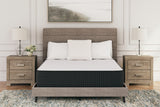 Mega Furniture - Ashley Furniture - Limited Edition Plush Mattresses - Twin / White - M41111