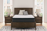 Mega Furniture - Ashley Furniture - Limited Edition PT Mattresses - Queen / White - M41231