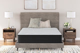 Mega Furniture - Ashley Furniture - Palisades Plush Mattresses - California King / Gray/Blue - M41651