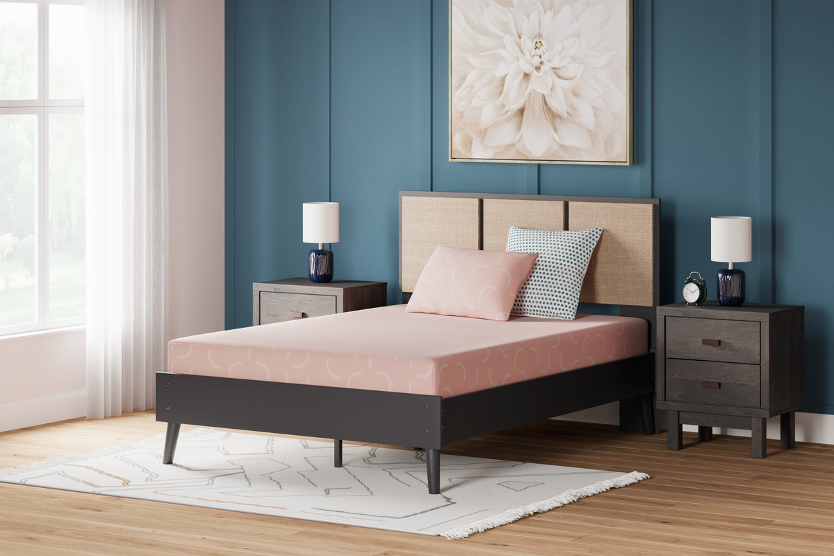 Mega Furniture - Ashley Furniture - iKidz Coral Mattresses - Twin and Pillow 2/CN / Coral - M43111
