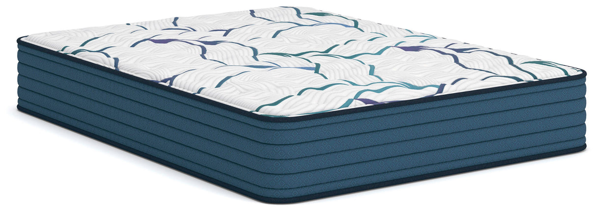 Mega Furniture - Ashley Furniture - Limited Edition Firm 3.0 Mattresses - Queen - M45031