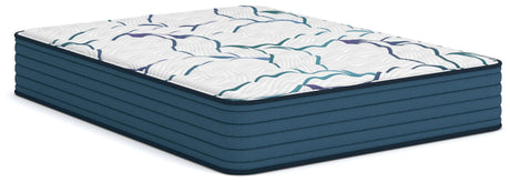 Mega Furniture - Ashley Furniture - Limited Edition Firm 3.0 Mattresses - Queen - M45031