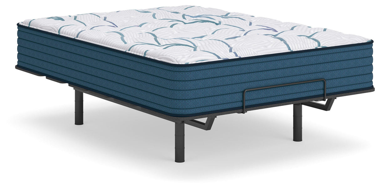 Limited Edition Plush 3.0 Mattresses