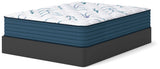 Limited Edition Plush 3.0 Mattresses