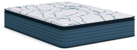 Limited Edition Plush PT 3.0 Mattresses