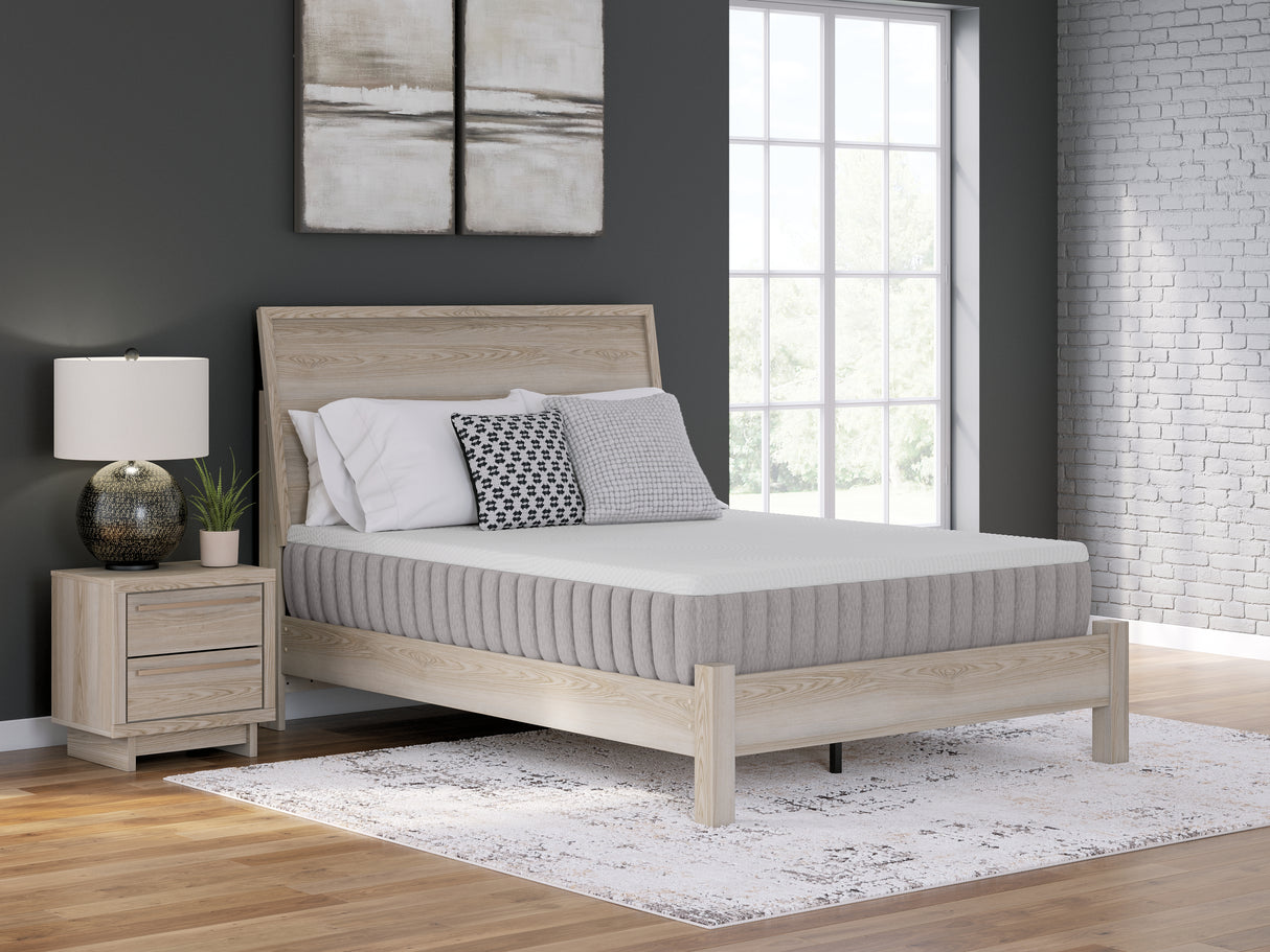 Mega Furniture - Ashley Furniture - Terra Sleep Medium Mattresses - King / White - M52341