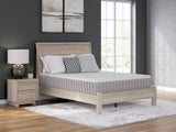 Mega Furniture - Ashley Furniture - Terra Sleep Medium Mattresses - King / White - M52341