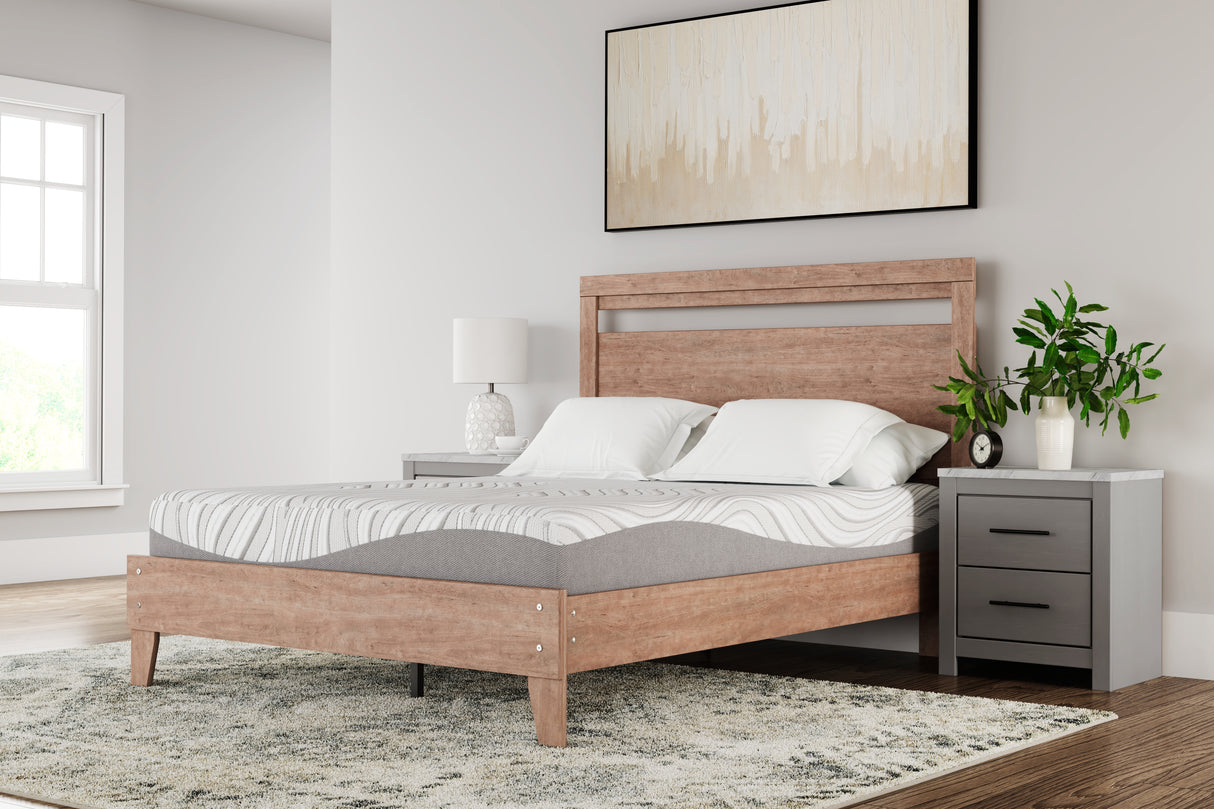 Mega Furniture - Ashley Furniture - 10 Inch Memory Foam Mattresses - California King / White - M59251